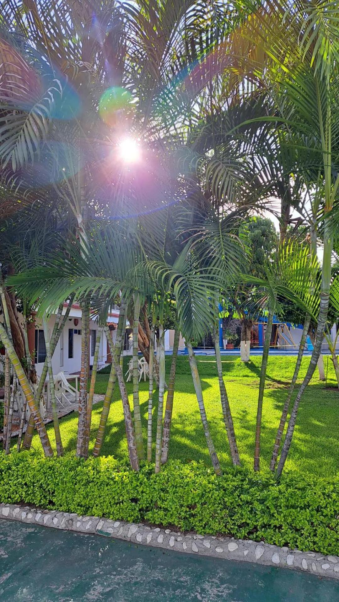 Hotel Quinta Paraiso Cocoyoc Ngoại thất bức ảnh
