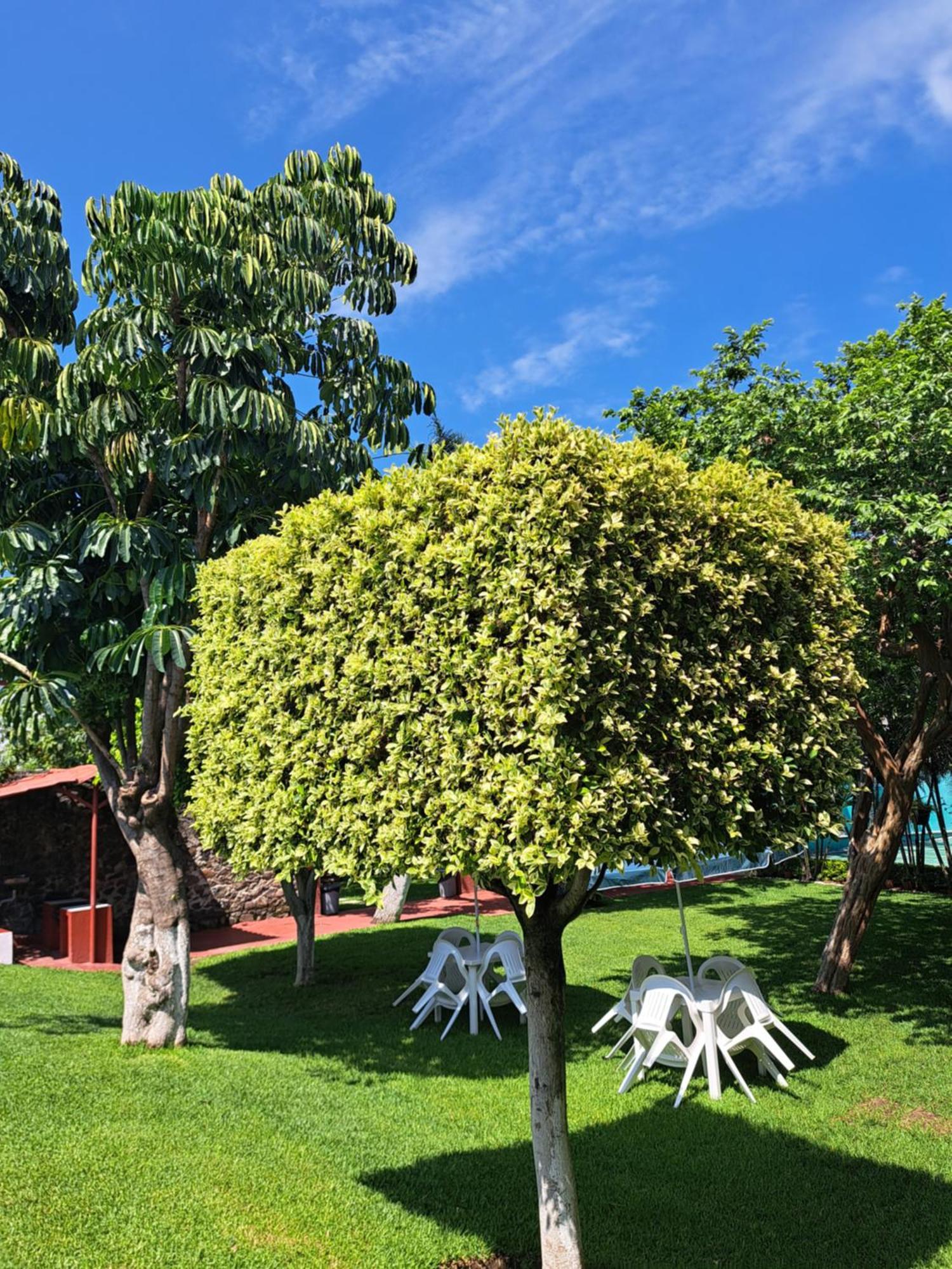 Hotel Quinta Paraiso Cocoyoc Ngoại thất bức ảnh